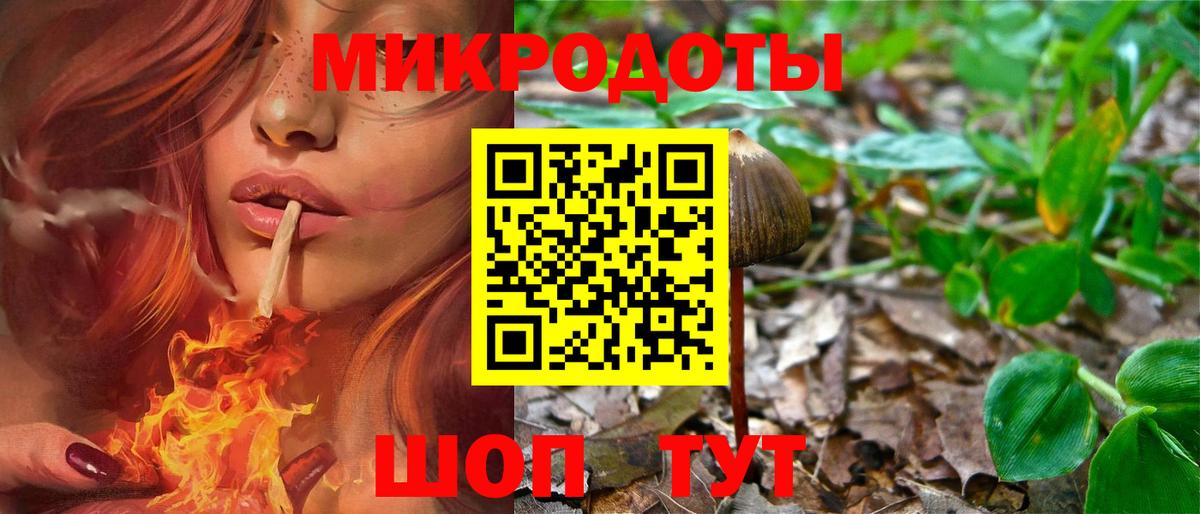 Галлюциногенные грибы ЛСД Мирный