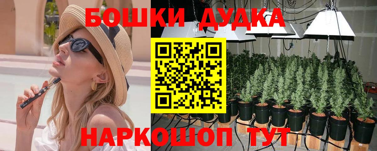 Бошки марихуана планчик  Бошки марихуана план  Канабис ГИДРОПОН  Конопля индика  Мирный  Вход с VPN 